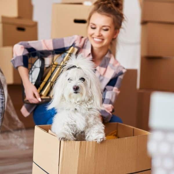 Move-in day with a family pet
